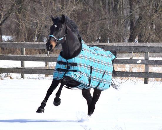 Kensington SuperMesh Turnout Black Ice