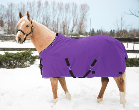 Kensington All Around Light Weight Turnout Purple