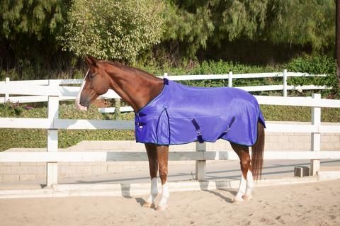 Kensington Poly Max Fly Sheet / Fliegendecke