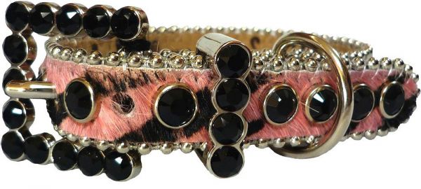 b.b. Simon Hundehalsband